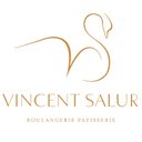 VINCENT SALUR company logo