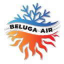Beluga Air LLC company logo