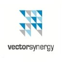 Vector Synergy company logo