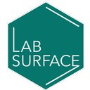 Labsurface company logo