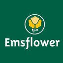 Emsflower GmbH company logo