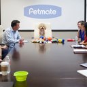 Petmate company logo