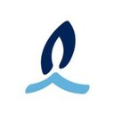Bord Gais Energy company logo