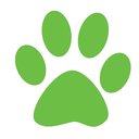 City Pets Animal Clinic company logo
