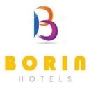 Borin Hotels company logo