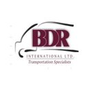 BDR INTERNATIONAL LTD company logo