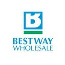 Bestway Group company logo