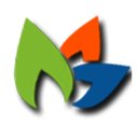 BridgeLogic Software company logo
