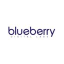 Blueberry Digital Labs company logo