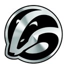 Badger Bob's Services company logo
