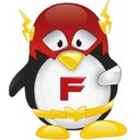 FLASH Technology Group company logo