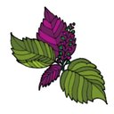 ゆかり成田 company logo