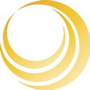 Allyn International Services, Inc. company logo