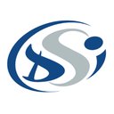 DSI company logo
