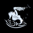 Nereids Aquatic Coaching company logo