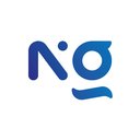 Nieman Groep company logo