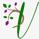 Vita Healthcare Group company logo