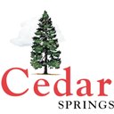 CEDAR SPRINGS WATER company logo