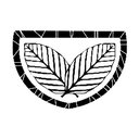 Kava Luv company logo