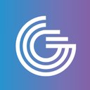 GoNetspeed company logo