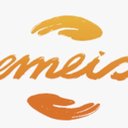 emeis company logo