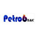 Petro6 company logo