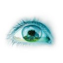 Consultes company logo