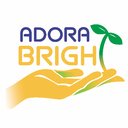 Adora Bright Pediatric Therapy Services company logo