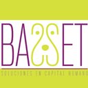 Basset Soluciones company logo