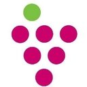 Vineyard Cincinnati company logo