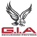 GRUPO DE INTELIGENCIA ARMADO (GIA) company logo