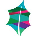 Tampa Training Ground company logo