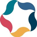 Solution Analysts Pvt Ltd company logo