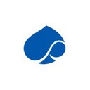 Capgemini company logo