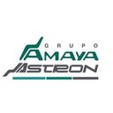 Asientos Vehiculares Astron company logo