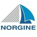 Norgine company logo