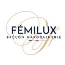 FEMILUX company logo