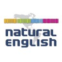 Natural English company logo