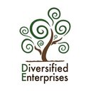 Diversified Enterprises company logo