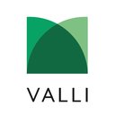 The Valli Group company logo