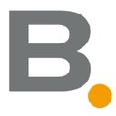 BCIS IT-Systeme GmbH &amp; Co. KG company logo