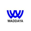 Waddaya Solutions Pvt Ltd at Kaushambhi company logo