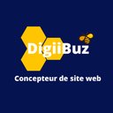 Digiibuz company logo