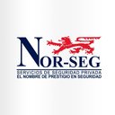 NORSEG SERVICIOS DE SEGURIDAD PRIVADA company logo