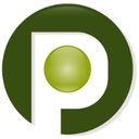 Pavilion Construction company logo