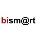 Bismart company logo