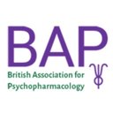 BAP company logo