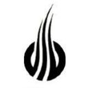 SiOnyx, LLC company logo