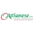 Attianese Spa company logo