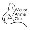 Wieuca Animal Clinic company logo